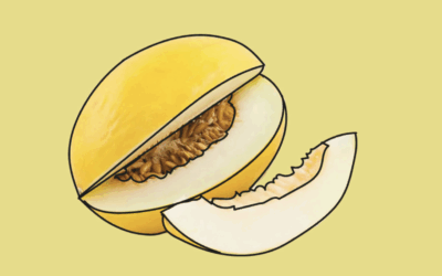 ¡DaMelón toda la vida!