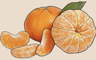 Siesta, sol y ¡mandarina!
